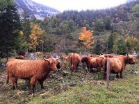 /album/fotogalerie/image8-jpeg/